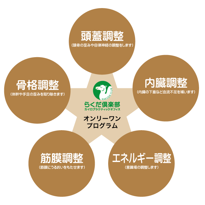 オンリーワンプログラム