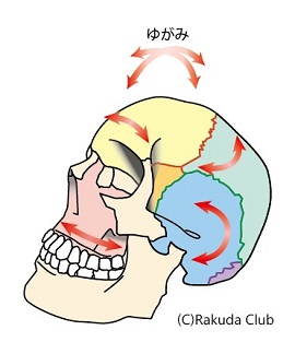 北小金、頭