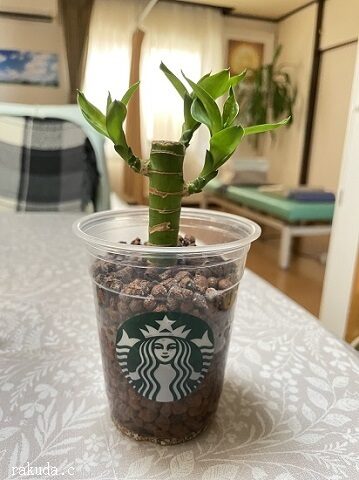 グリーン効果